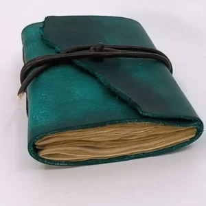 JA63B001 Journal